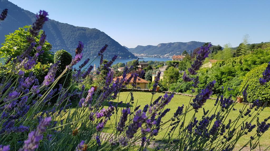 La Finestra Sul Lago Cernobbio Eksteriør billede